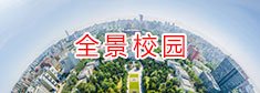 陕钢体育在线365手机版成为上海海港
