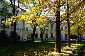 010-6233 2505